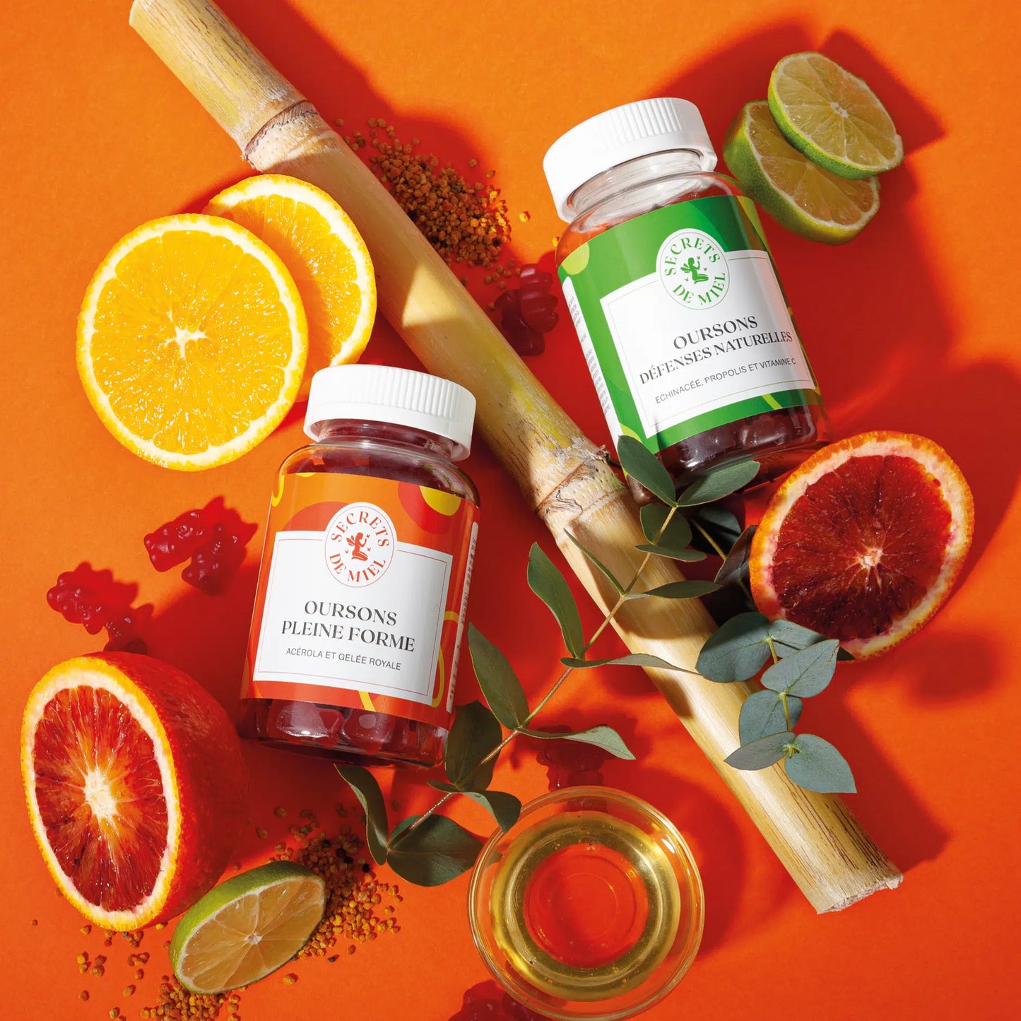 DUO d’Oursons : forme et défenses