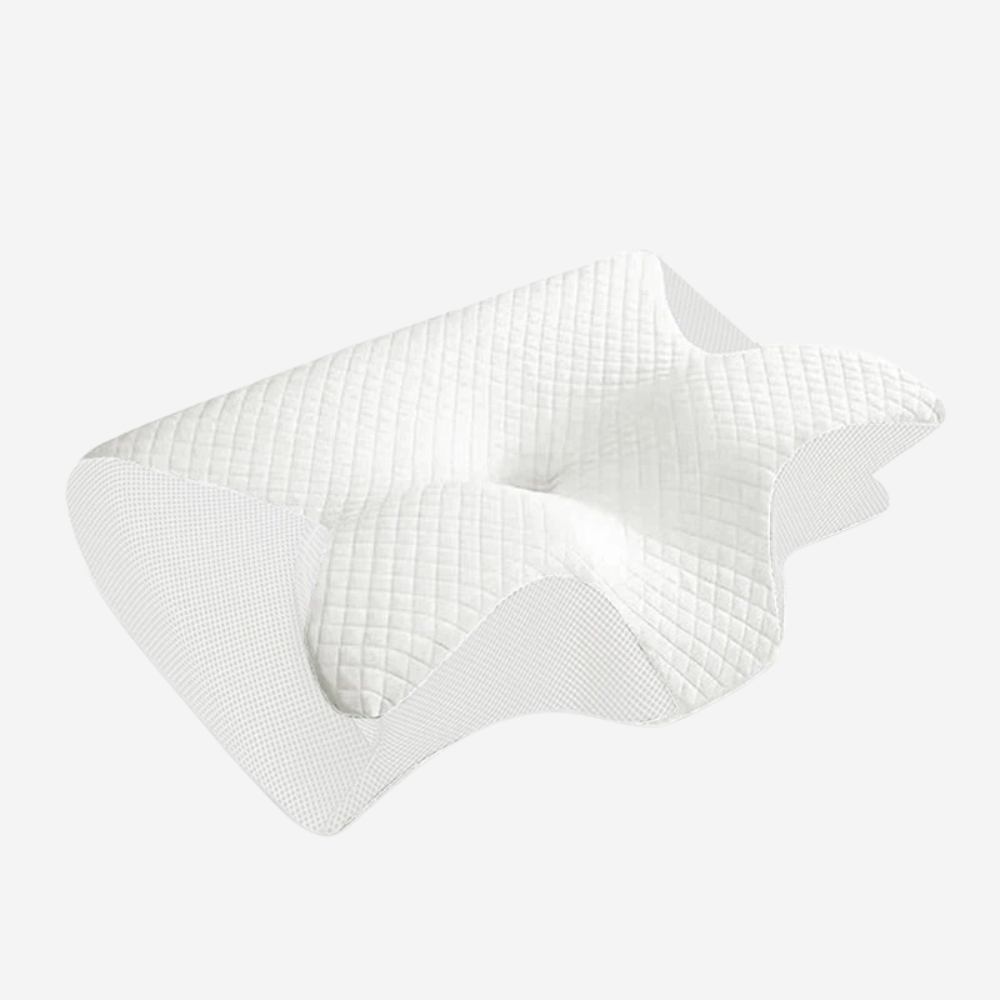 coussin a memoire de forme