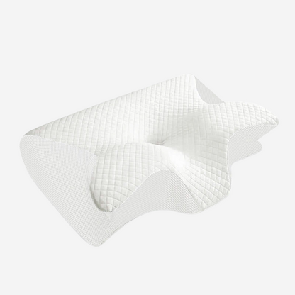 coussin a memoire de forme