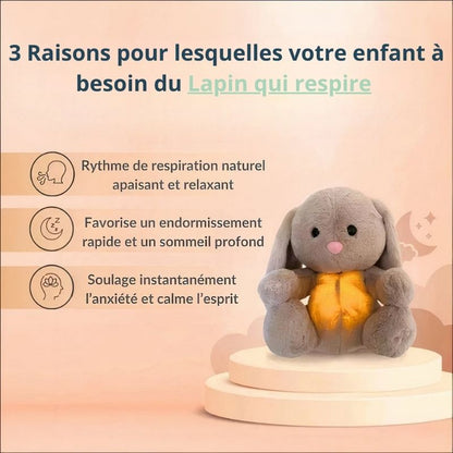 lapin qui respire